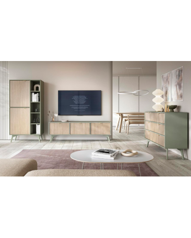 Ensemble meuble TV FOREST couleur Chevrons Scandi / Eucalyptus
